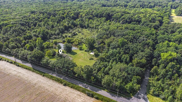 7260 W E Rd, Three Oaks, MI 49128 - bird's eye view of a heavily wooded area