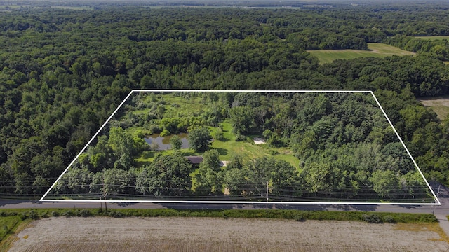 7260 W E Rd, Three Oaks, MI 49128 - view of property location featuring a forest and property parcel outlined