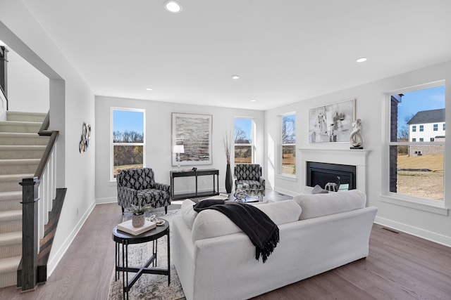 living room featuring hardwood / wood-style flooring