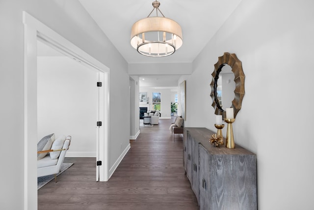 hallway with dark wood-type flooring