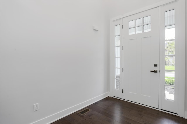 foyer featuring plenty of natural light and dark wood-type flooring