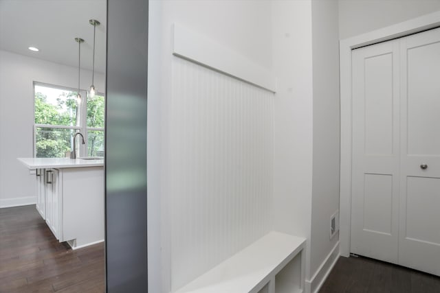 mudroom featuring sink and dark wood-type flooring