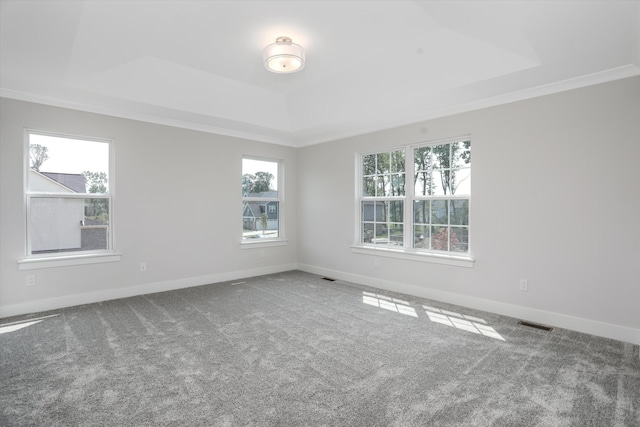 unfurnished room featuring a raised ceiling, carpet, and ornamental molding