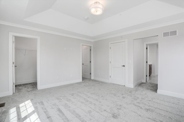 unfurnished bedroom with a tray ceiling, a spacious closet, a closet, and light colored carpet