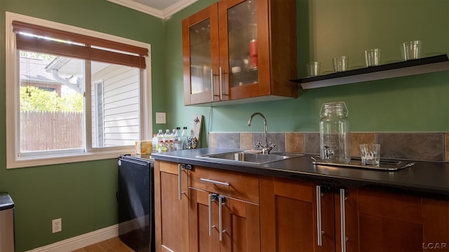 4241 Echo Cv, Manitou Beach, MI 49253 - bar with a sink, crown molding, and baseboards