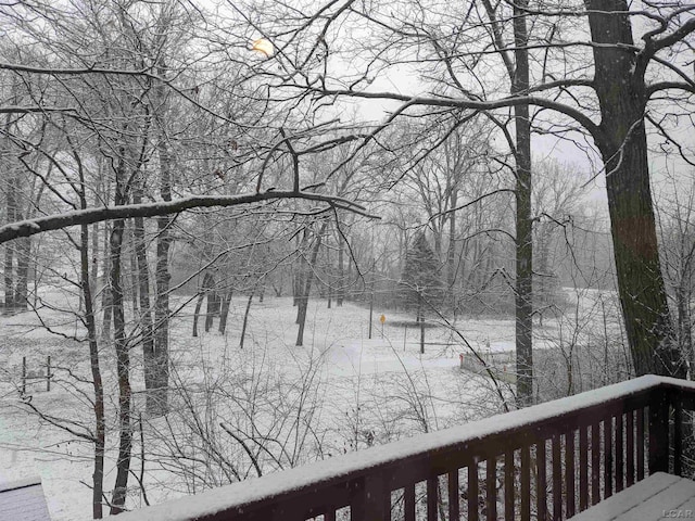 4241 Echo Cv, Manitou Beach, MI 49253 - view of snow covered deck