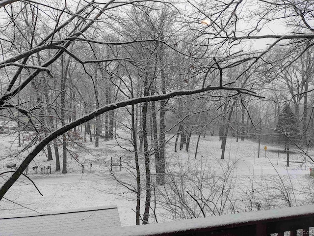 4241 Echo Cv, Manitou Beach, MI 49253 - view of snow covered land