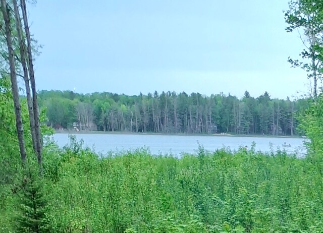 LOT101 Breezewood Dr, Mancelona, MI 49659