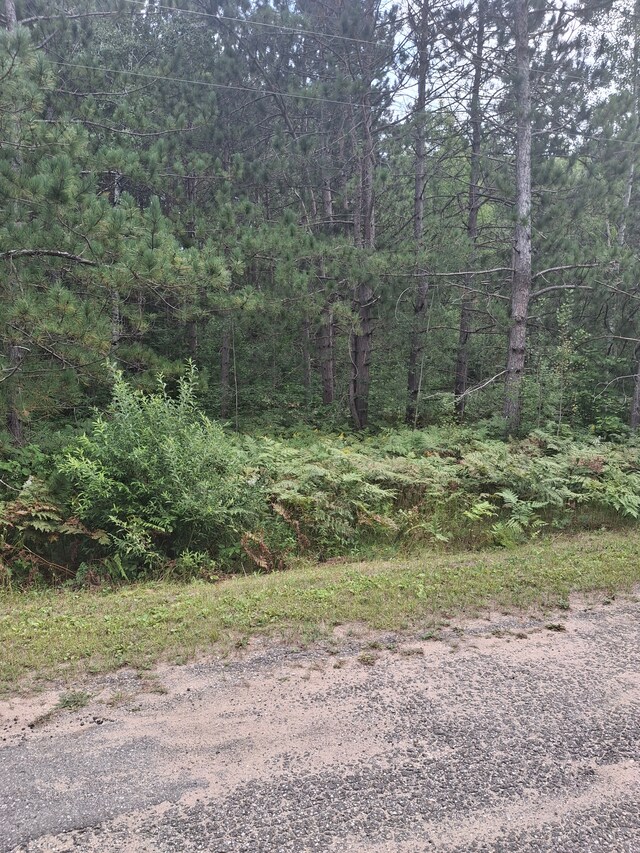 LOT101 Breezewood Dr, Mancelona, MI 49659