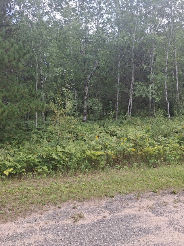 LOT101 Breezewood Dr, Mancelona, MI 49659