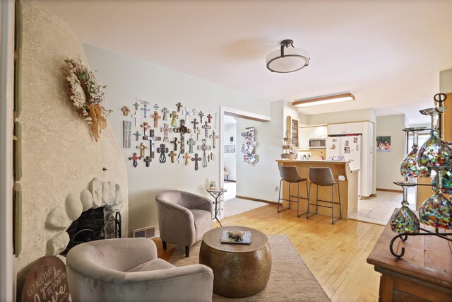 9300 Ormes Rd, Vassar, MI 49768 - living area featuring light wood-style flooring and a fireplace