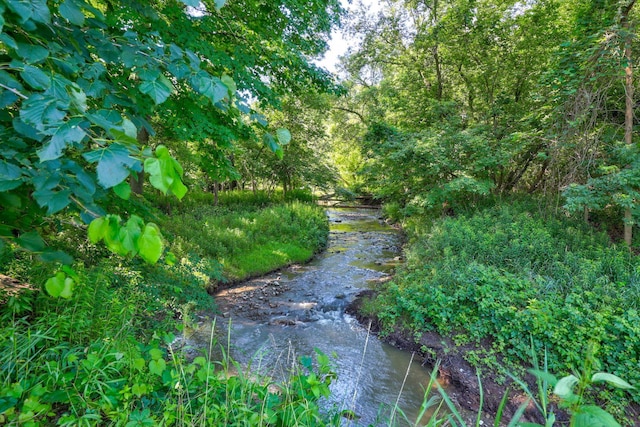 view of nature