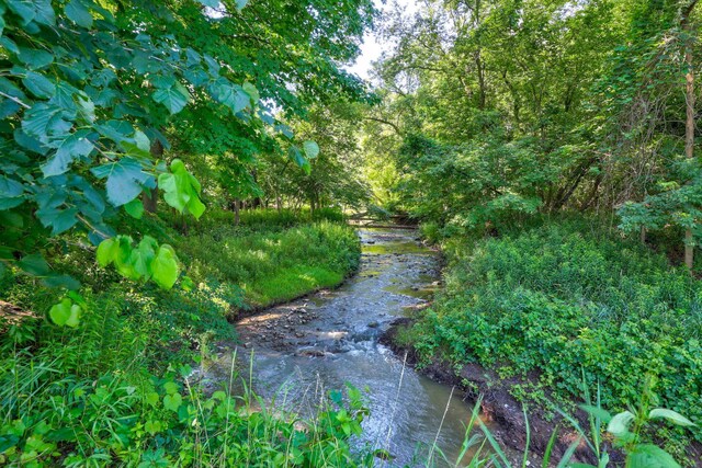9300 Ormes Rd, Vassar, MI 49768 - view of community