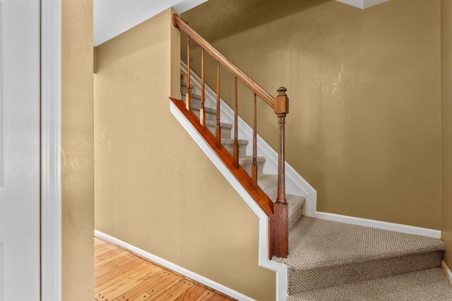 staircase with wood-type flooring