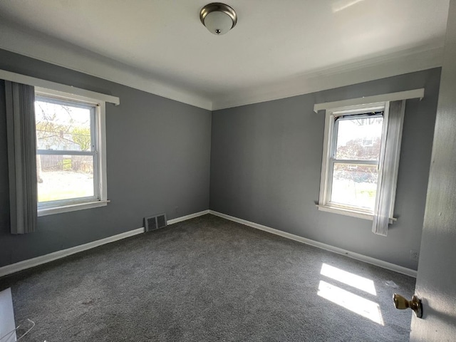 carpeted empty room with a healthy amount of sunlight