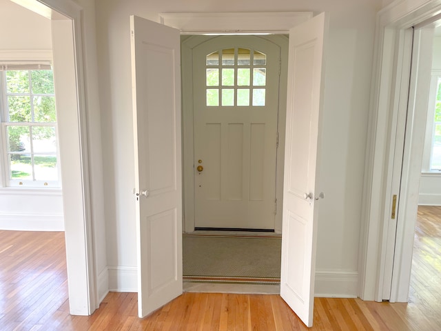 foyer featuring light hardwood / wood-style flooring and a healthy amount of sunlight