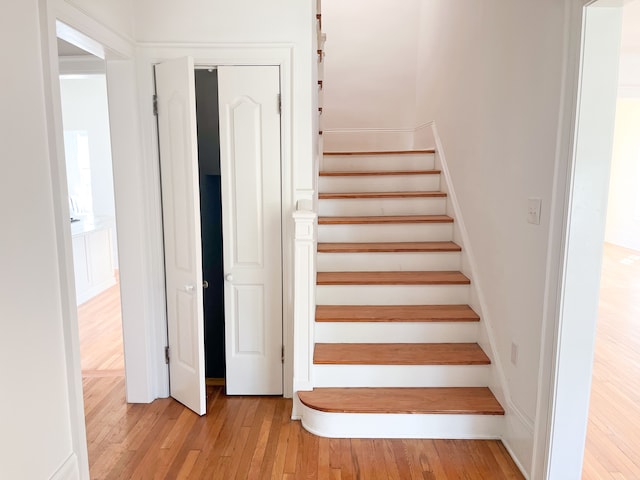 488 Parkview Dr, Detroit, MI 48214 - stairs with wood finished floors