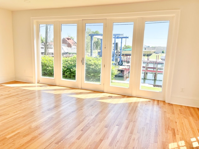 entryway featuring light wood-type flooring, a wealth of natural light, and french doors