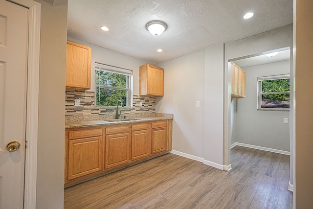 kitchen with decorative backsplash, a healthy amount of sunlight, light wood-type flooring, and sink