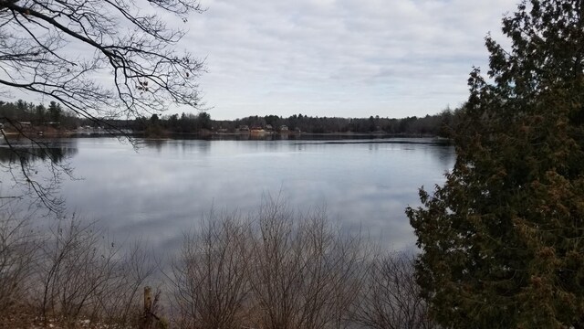 9034 W Bass Lake Rd, Irons, MI 49644 - water view with a heavily wooded area
