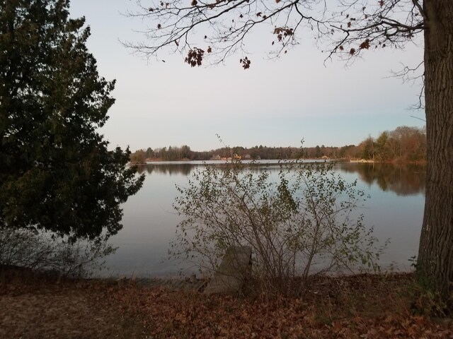 9034 W Bass Lake Rd, Irons, MI 49644 - water view