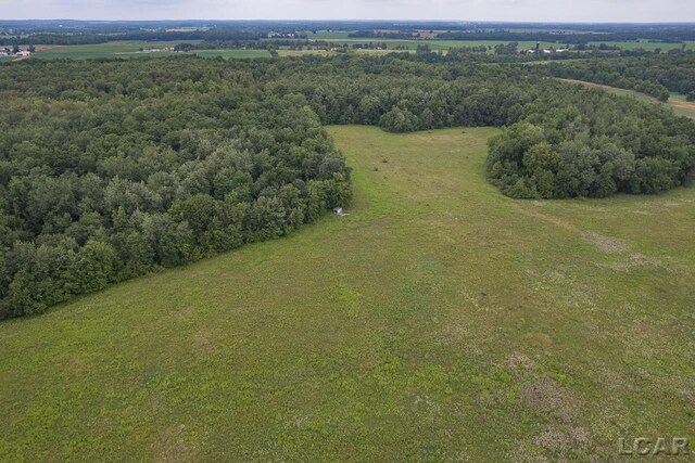 9024 W Carleton Rd, Clayton, MI 49235 - photo 51