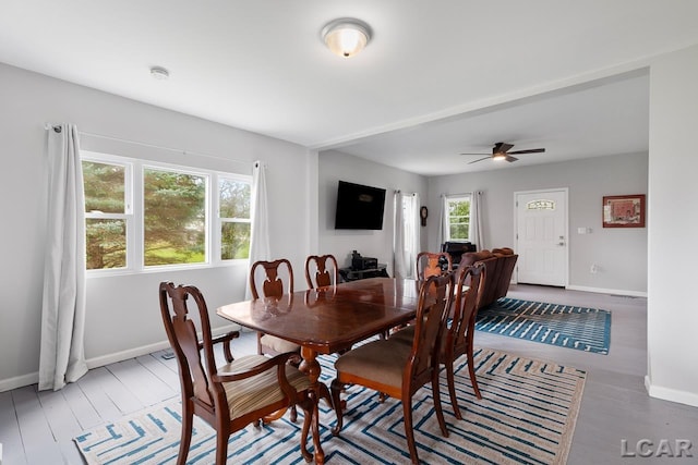 dining space with hardwood / wood-style floors and ceiling fan