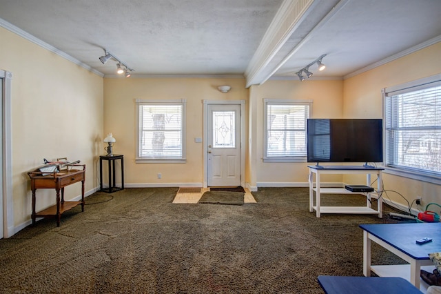 417 Barlow St, Traverse City, MI 49686 - entrance foyer with track lighting, crown molding, carpet, and baseboards
