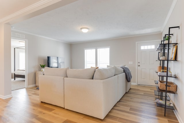 living room with a textured ceiling, light wood-type flooring, and crown molding