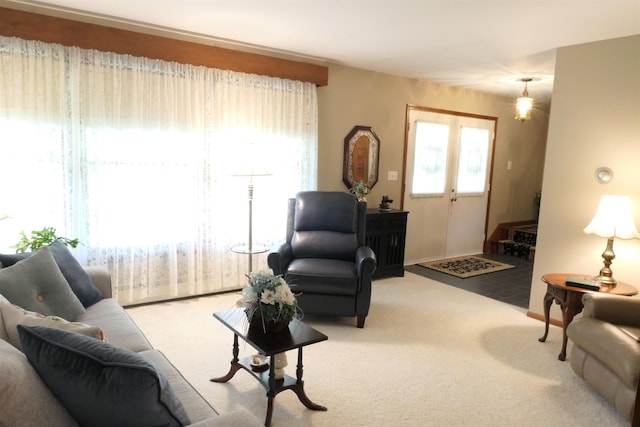 living room with carpet