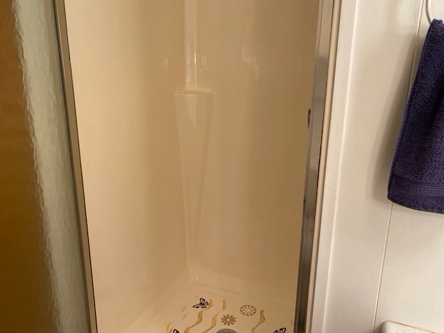 bathroom with a shower