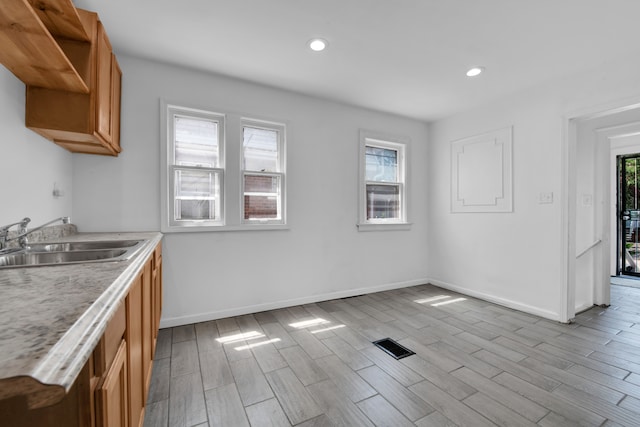 kitchen with light hardwood / wood-style floors, a healthy amount of sunlight, and sink