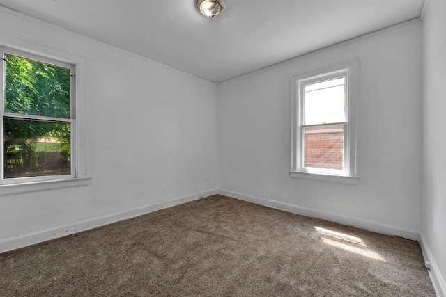 carpeted spare room with ornamental molding