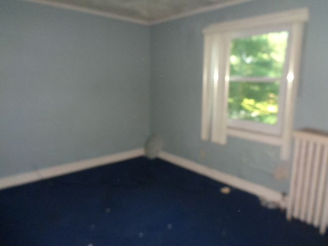 13614 Cloverlawn St, Detroit, MI 48238 - photo 15