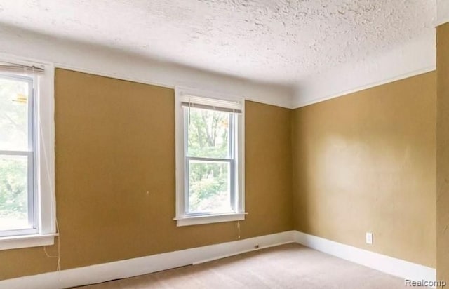 empty room featuring carpet and a textured ceiling