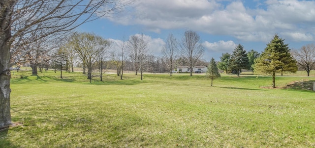 204 W Hatmaker Rd, Coldwater, MI 49036 - view of green lawn