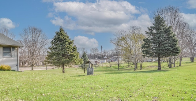 204 W Hatmaker Rd, Coldwater, MI 49036 - view of green lawn