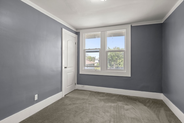 spare room with light carpet and ornamental molding