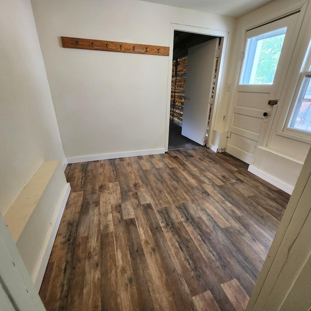 foyer entrance featuring dark wood-type flooring