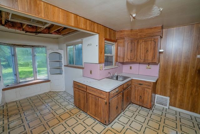 kitchen featuring wood walls and sink