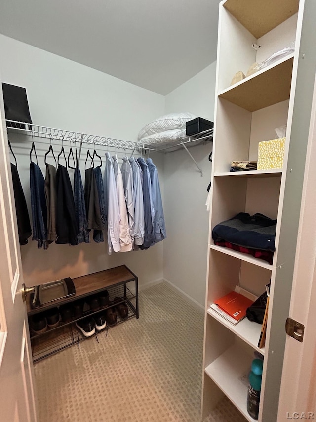 spacious closet with carpet flooring