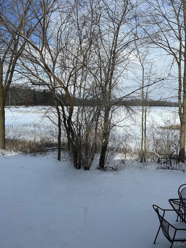 view of yard covered in snow