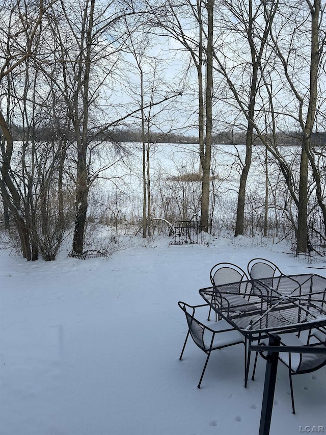 view of yard covered in snow