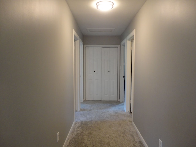 corridor featuring light colored carpet