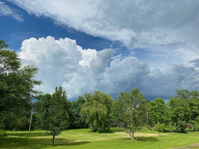 view of property's community with a yard