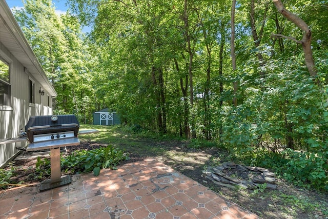 view of patio / terrace with a storage unit