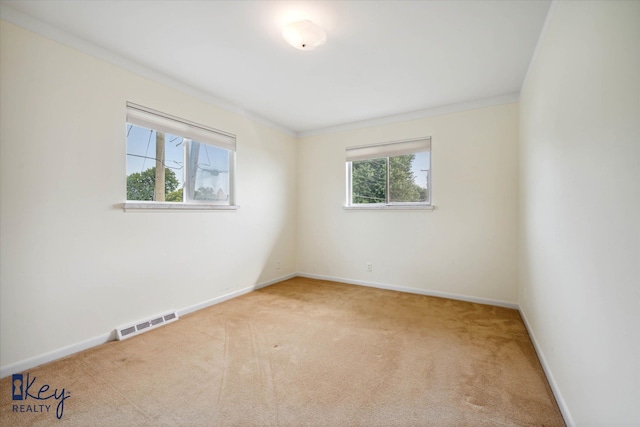 carpeted spare room featuring plenty of natural light and crown molding