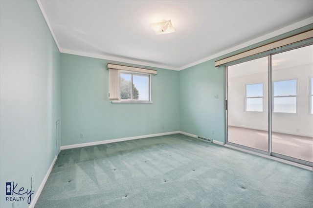 6800 Lakeshore Dr, Newport, MI 48166 - carpeted empty room with crown molding and baseboards