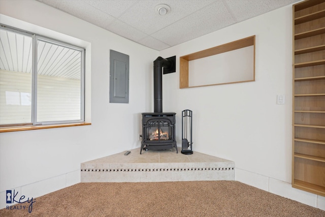 6800 Lakeshore Dr, Newport, MI 48166 - detailed view of electric panel, a wood stove, and carpet flooring