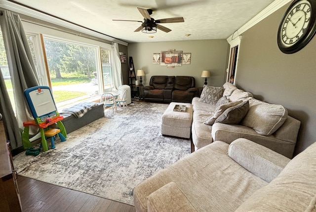 living room featuring a textured ceiling, ceiling fan, wood-type flooring, and ornamental molding